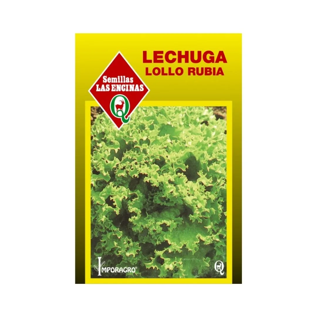 LECHUGA LOLLO RUBIA
