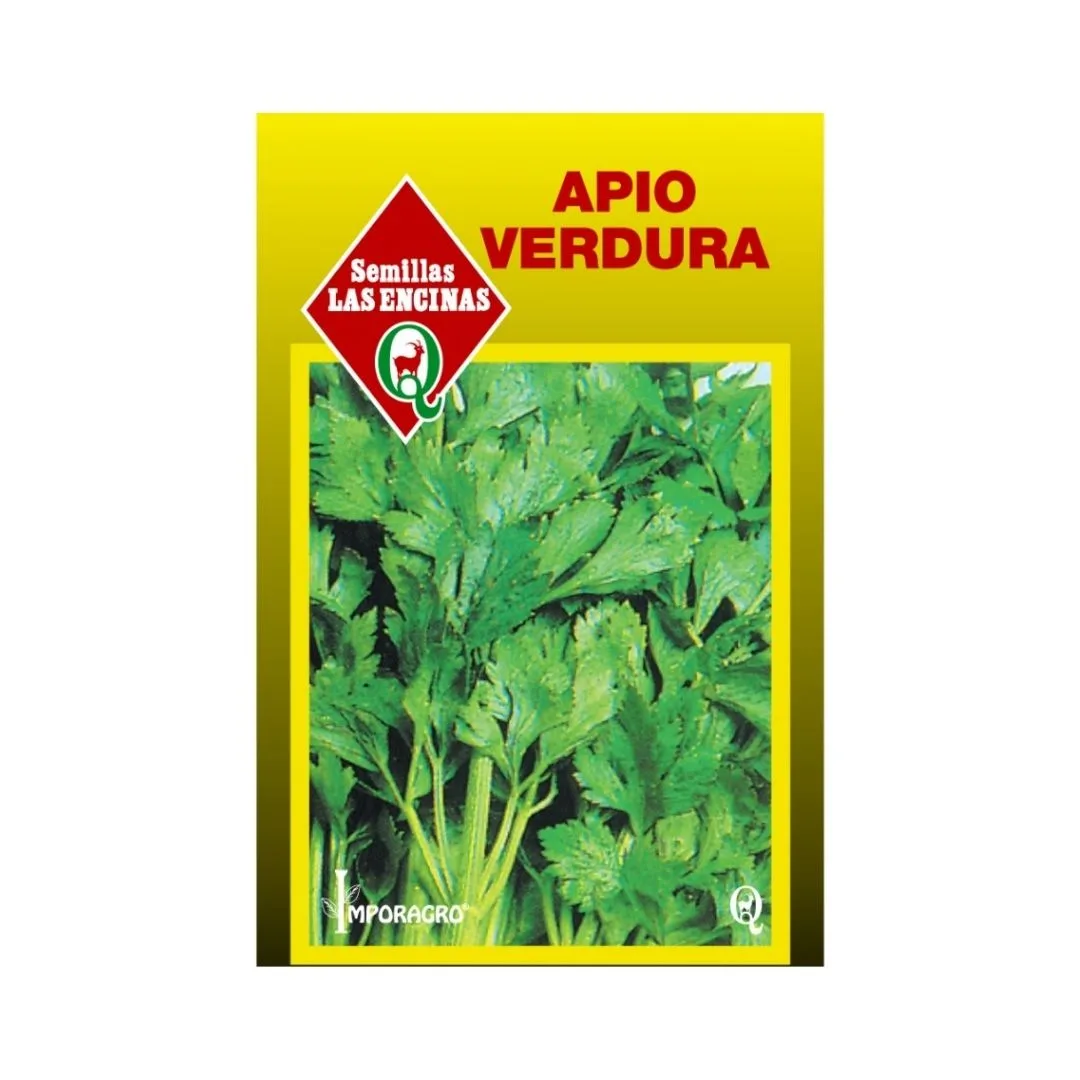 APIO VERDURA