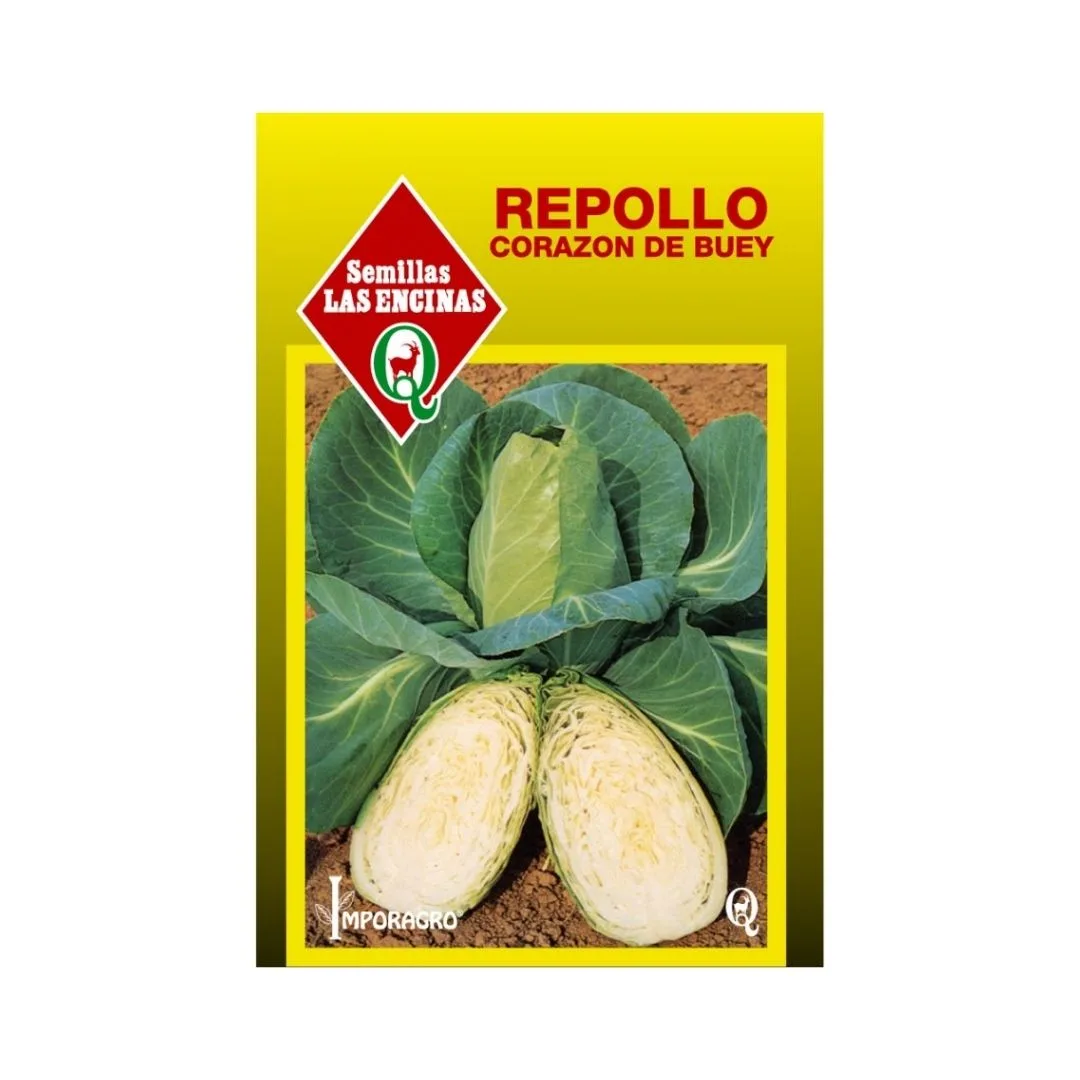 REPOLLO CORAZON DE BUEY