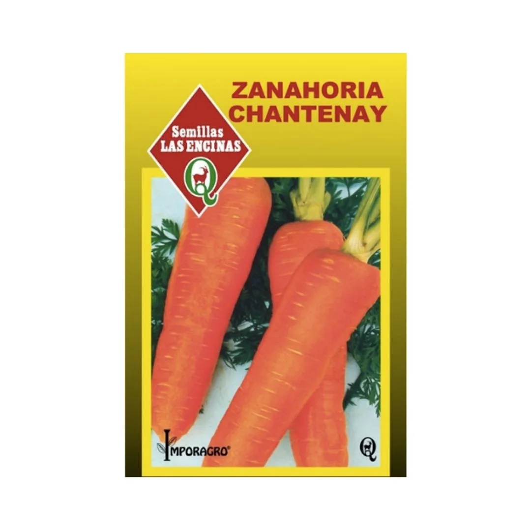 ZANAHORIA CHANTINAY
