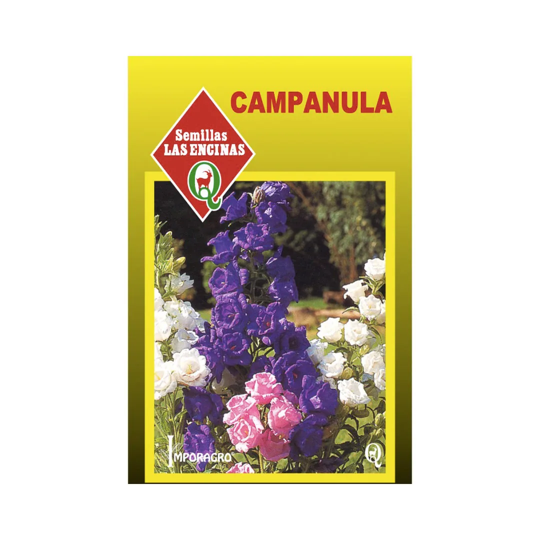 CAMPANULA