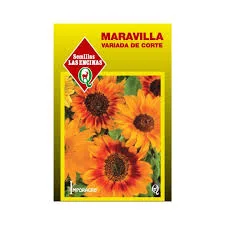 MARAVILLA VARIADA DE CORTE