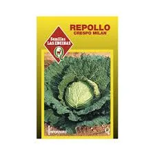 REPOLLO CRESPO MILAN