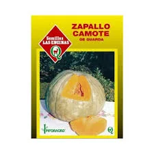 ZAPALLO CAMOTE DE GUARDA