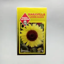 MARAVILLA LEMON QUEEN