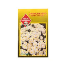 CRISANTEMO