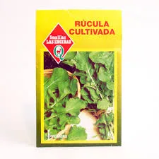 RUCULA CULTIVADA