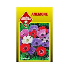 ANEMONA