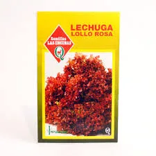 LECHUGA LOLLO ROSA