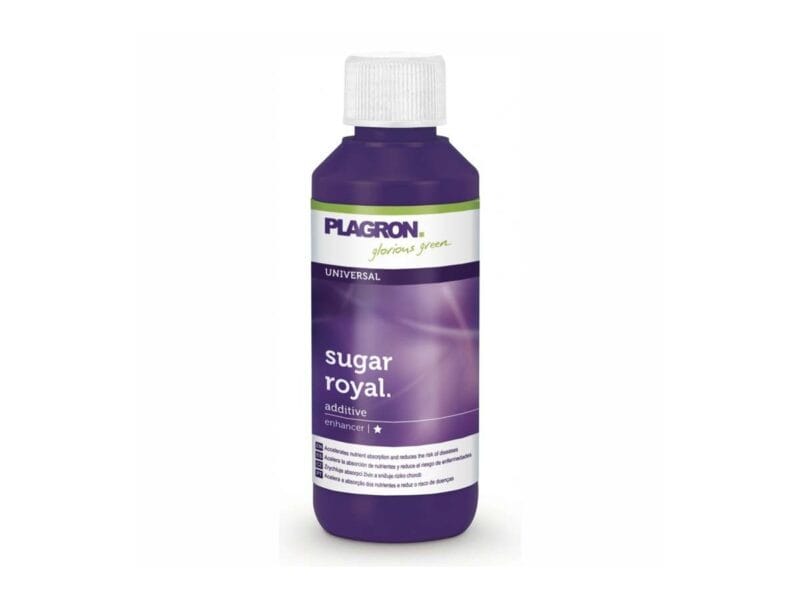 SUGAR ROYAL 100ML PLAGRON