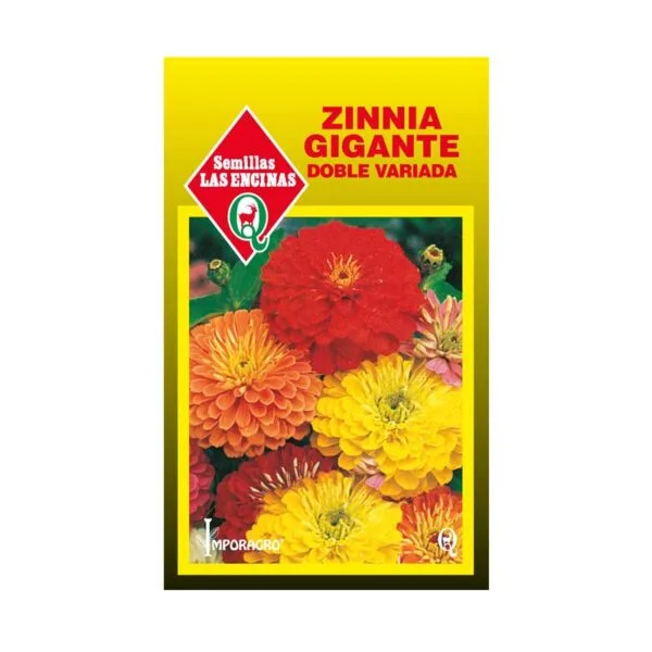 ZINNIA GIGANTE DOBLE VARIADA
