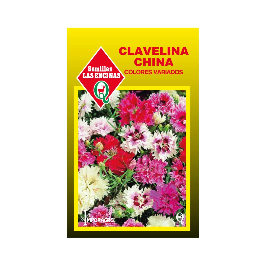 CLAVELINA CHINA COLORES VARIADOS