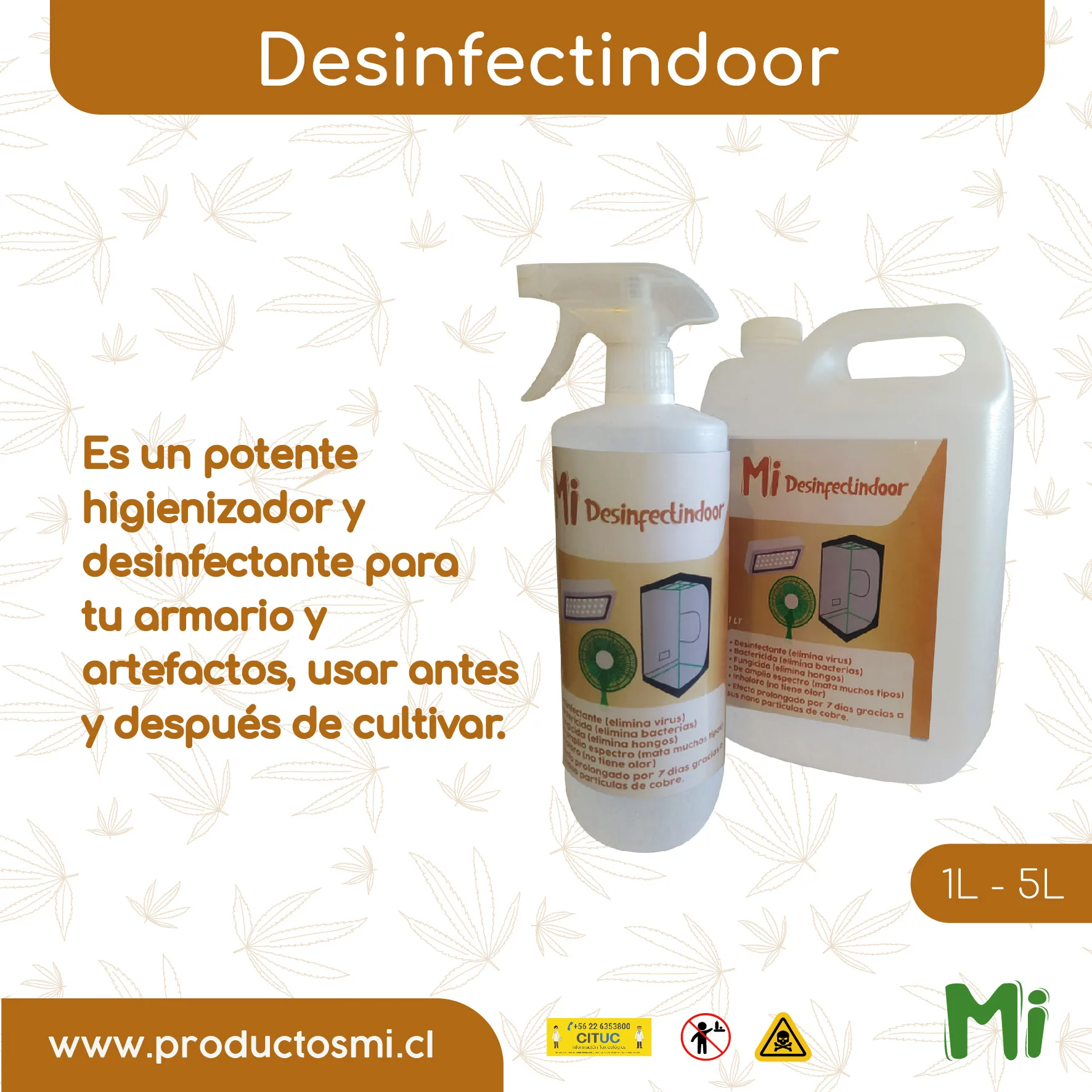 MI DESINFECTINDOOR 1LT