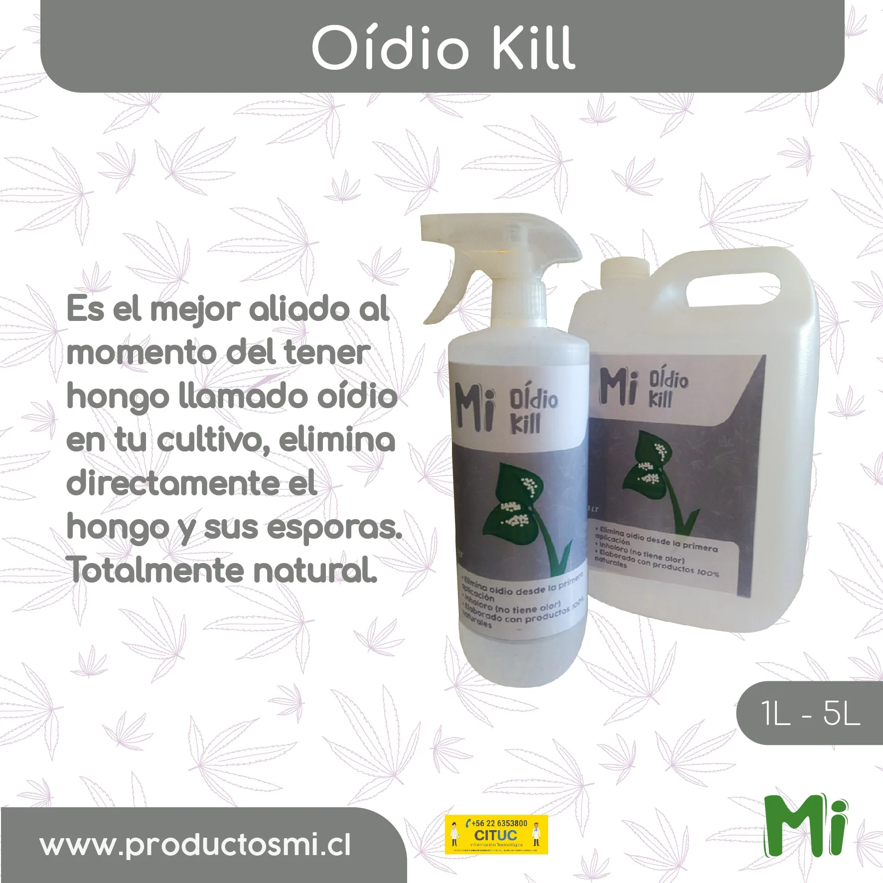 MI OÍDIO KILL 1LT