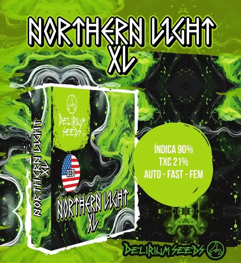 NORTHERN LIGHT XL AUTO X4- DELIRIUM SEEDS